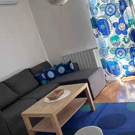 Delight: Cozy *